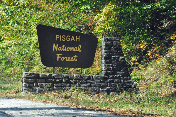 Pisgah National Forest sign